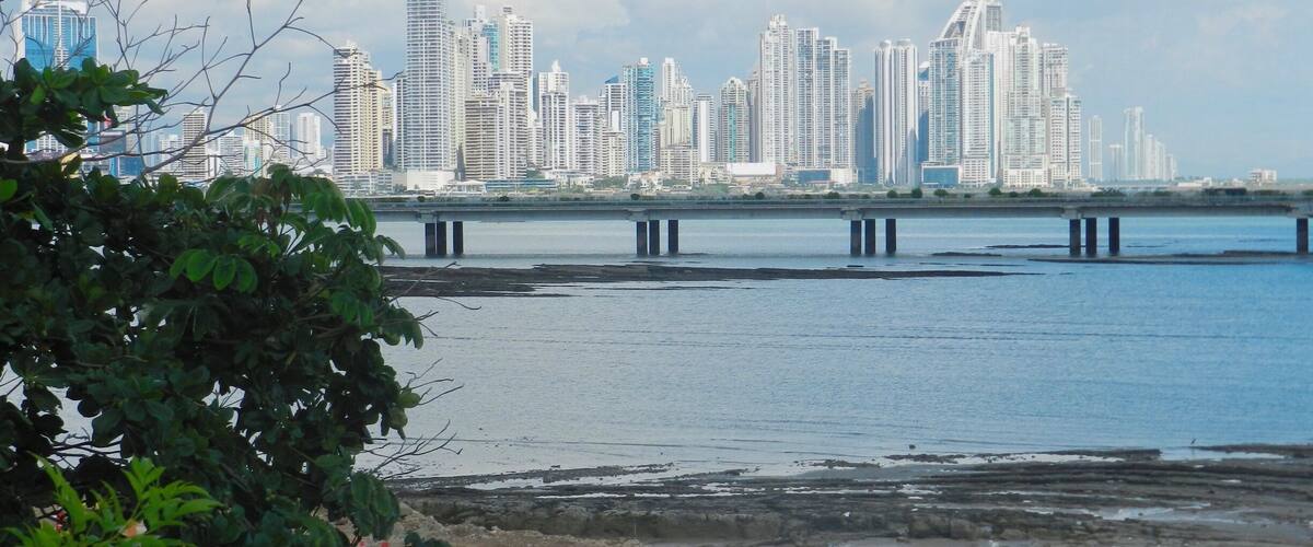 A city skyline with modern skyscrapers and a bridge over a body of water.