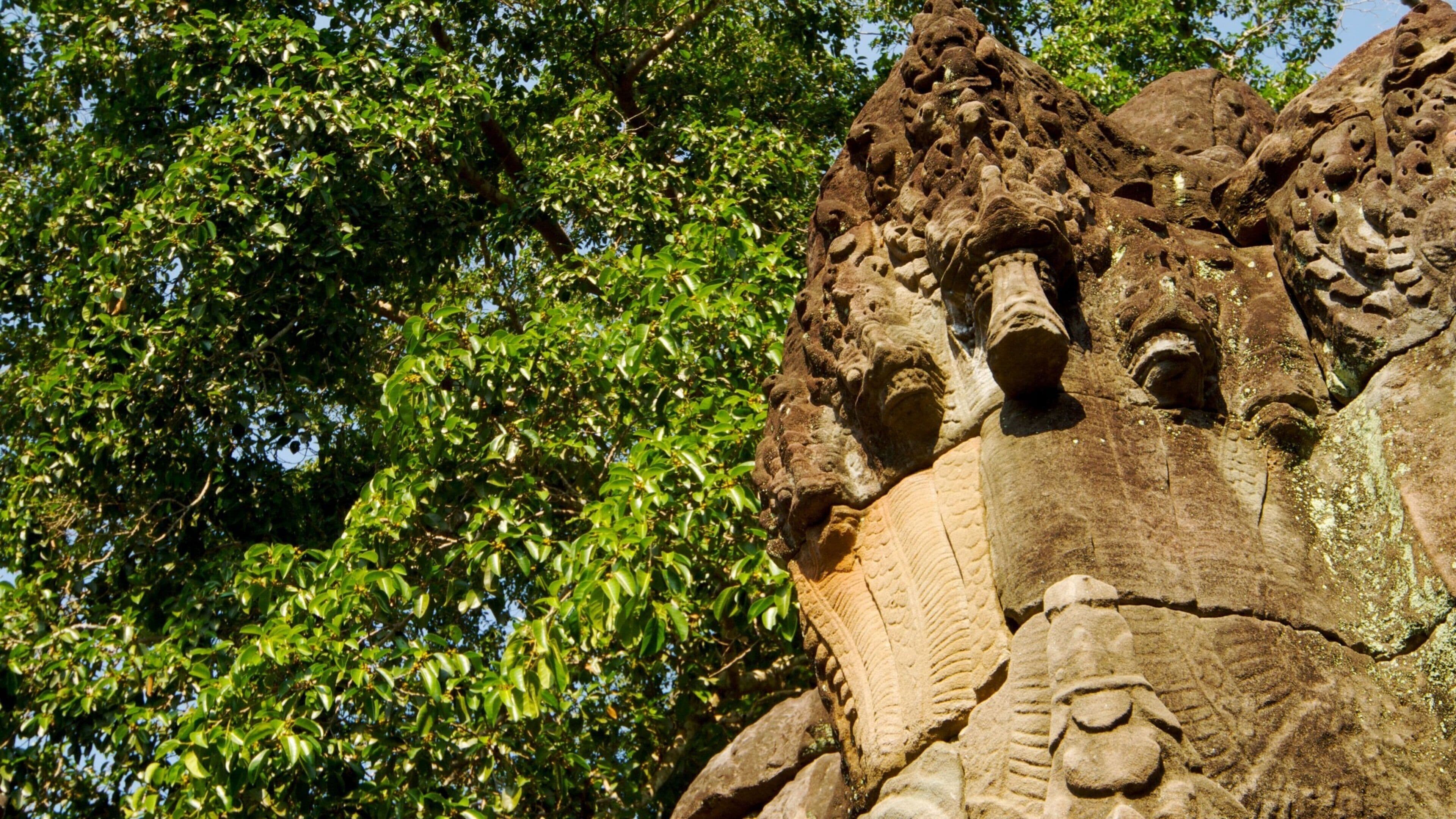 Cambodia showing a temple or place of worship and building ruins