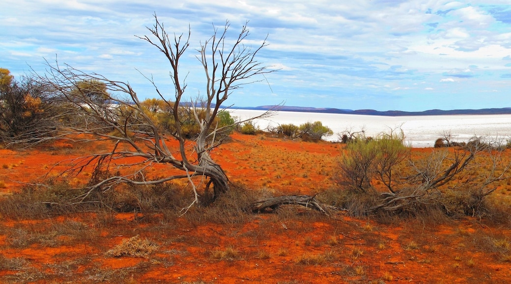 بورت أوجوستا