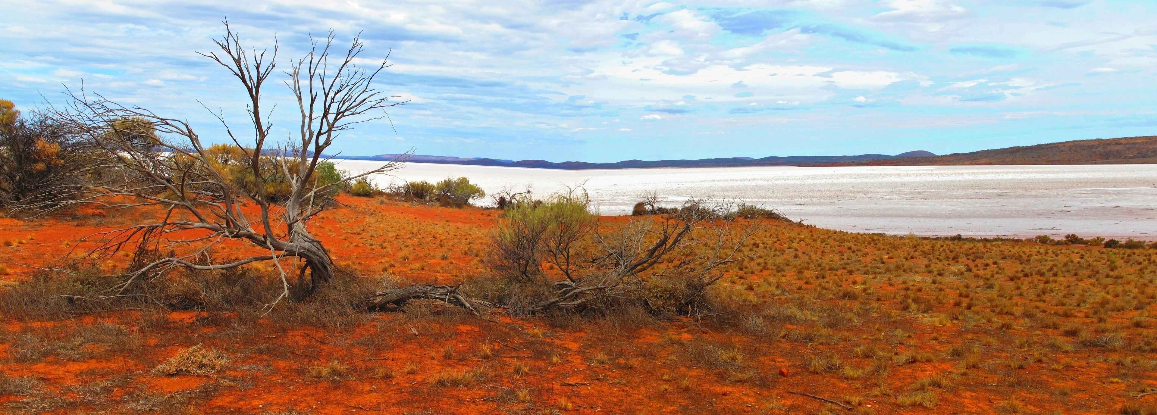 A barren landscape with red soil, sparse vegetation, and a distant body of water under a partly cloudy sky.
