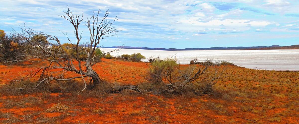 A barren landscape with red soil, sparse vegetation, and a distant body of water under a partly cloudy sky.