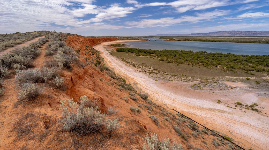 ํฌํธ ์์ฐ๊ตฌ์คํ