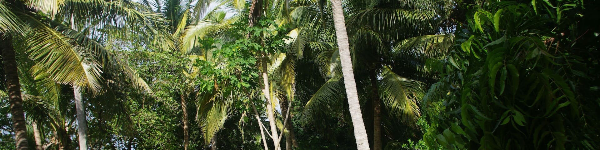 Plage Nouvelle Calédonie