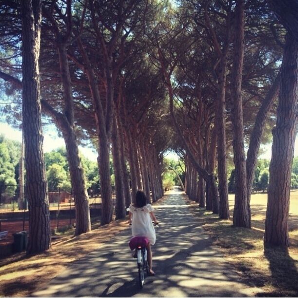 The Brijuni Islands National Park is only 6km from Pula, off the Istrian coast. There are two main islands (Mali Brijun and Veli Brijun) and about a dozen islets!  

 It's an extraordinarily beautiful island, carpeted with ancient pines and olive trees, surrounded by a sparkling sea. 

You can rent bikes and enjoy the beautiful nature and safari park