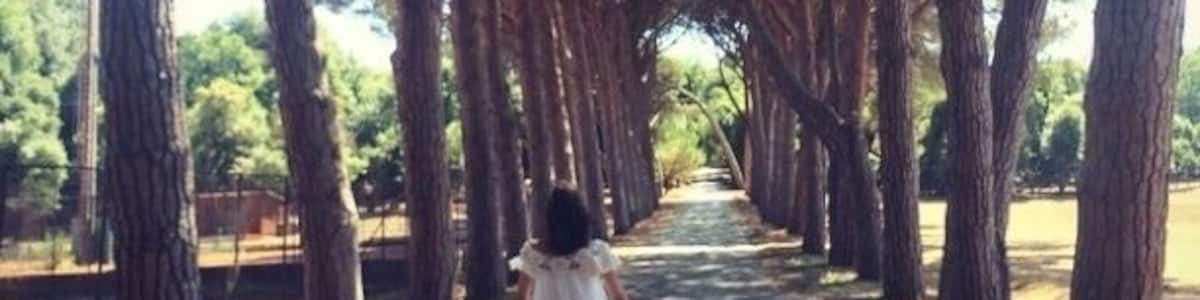 The Brijuni Islands National Park is only 6km from Pula, off the Istrian coast. There are two main islands (Mali Brijun and Veli Brijun) and about a dozen islets!
It's an extraordinarily beautiful island, carpeted with ancient pines and olive trees, surrounded by a sparkling sea.
You can rent bikes and enjoy the beautiful nature and safari park