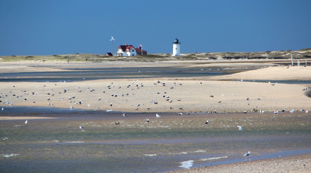 Race point lighthouse Cape Cod