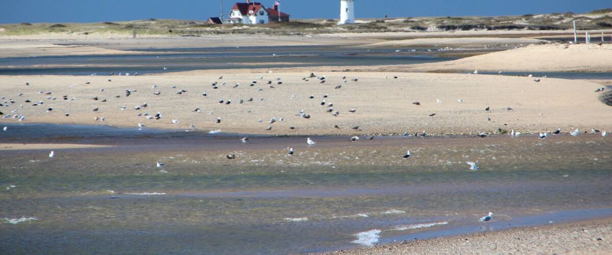 Race point lighthouse Cape Cod