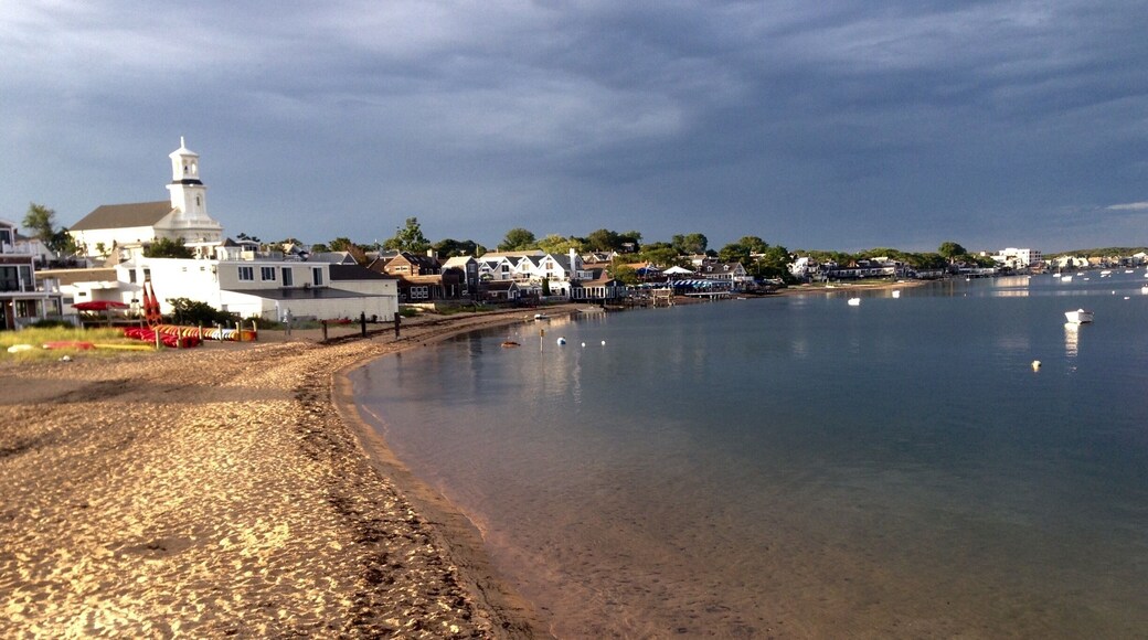 It was a perfect timing that moment I shot this photo