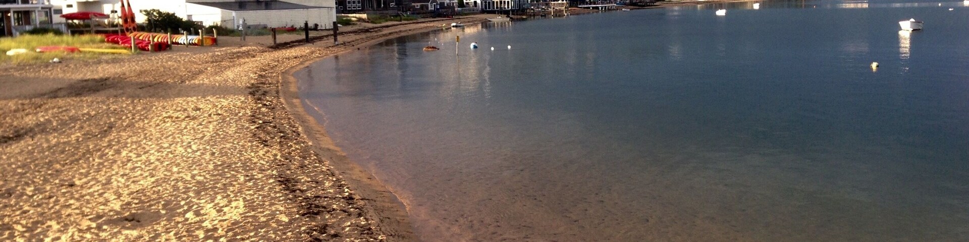 It was a perfect timing that moment I shot this photo