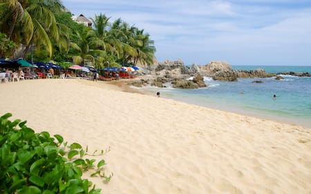 Vuelos baratos desde MXN$1,563 de Zihuatanejo a San Pedro Mixtepec