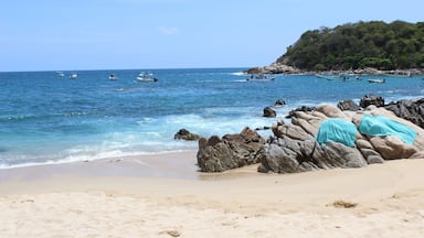 This is a great place to hop on a boat tour, if you're lucky your guide will spot a sea turtle and let you see it up close. We also found a good place on the rocks to dry our towels. #LifeAtExpedia