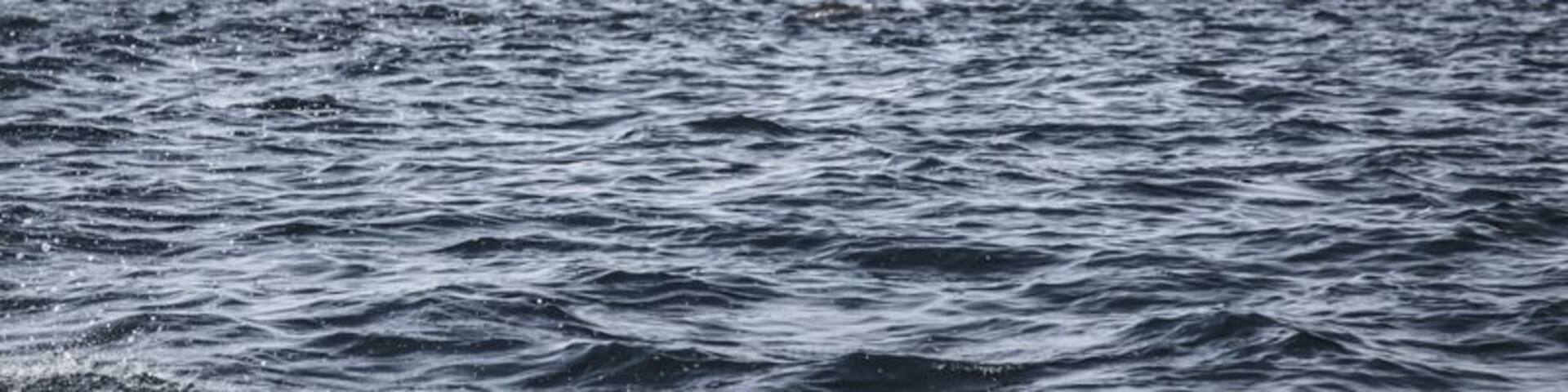 We have never seen as many dolphins as we did when off the coast of Puerto Escondido. We saw both white tail and spotted, and literally HUNDREDS of them just playing all around us.
A morning tour with Deep Blue Divers took us up and down the coastline to see dolphins, sea turtles, and even a 25 ton humpback whale with her baby.
For more, including a video and photos of the whale: http://www.hecktictravels.com/whale-watching-in-puerto-escondido