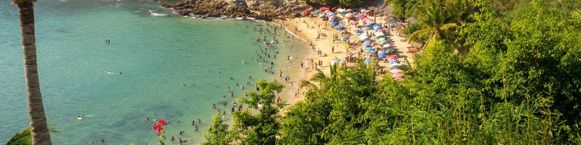 A coastal beach with palm trees, a rocky shoreline, and a clear blue sea.