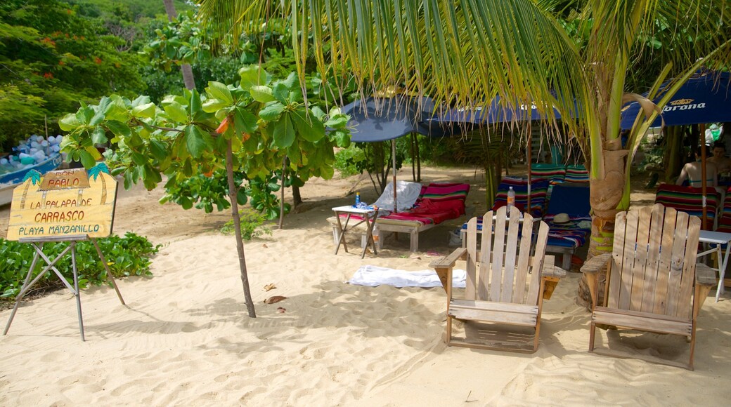 Puerto Escondido showing a beach and tropical scenes