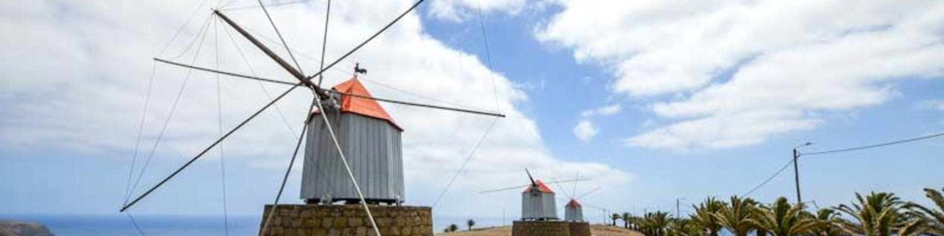 A windmill with a stone base and a red roof, surrounded by a pathway and palm trees.