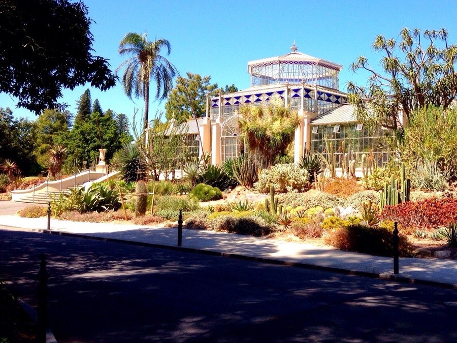 Greenhouse in the Botanic Garden, Adelaide South Australia
#Garden