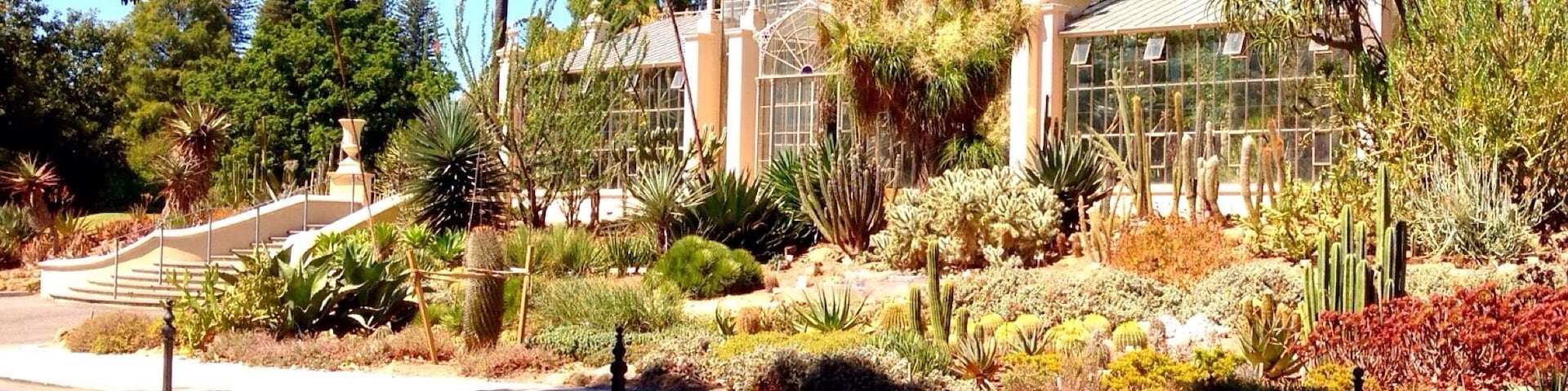 Greenhouse in the Botanic Garden, Adelaide South Australia
#Garden