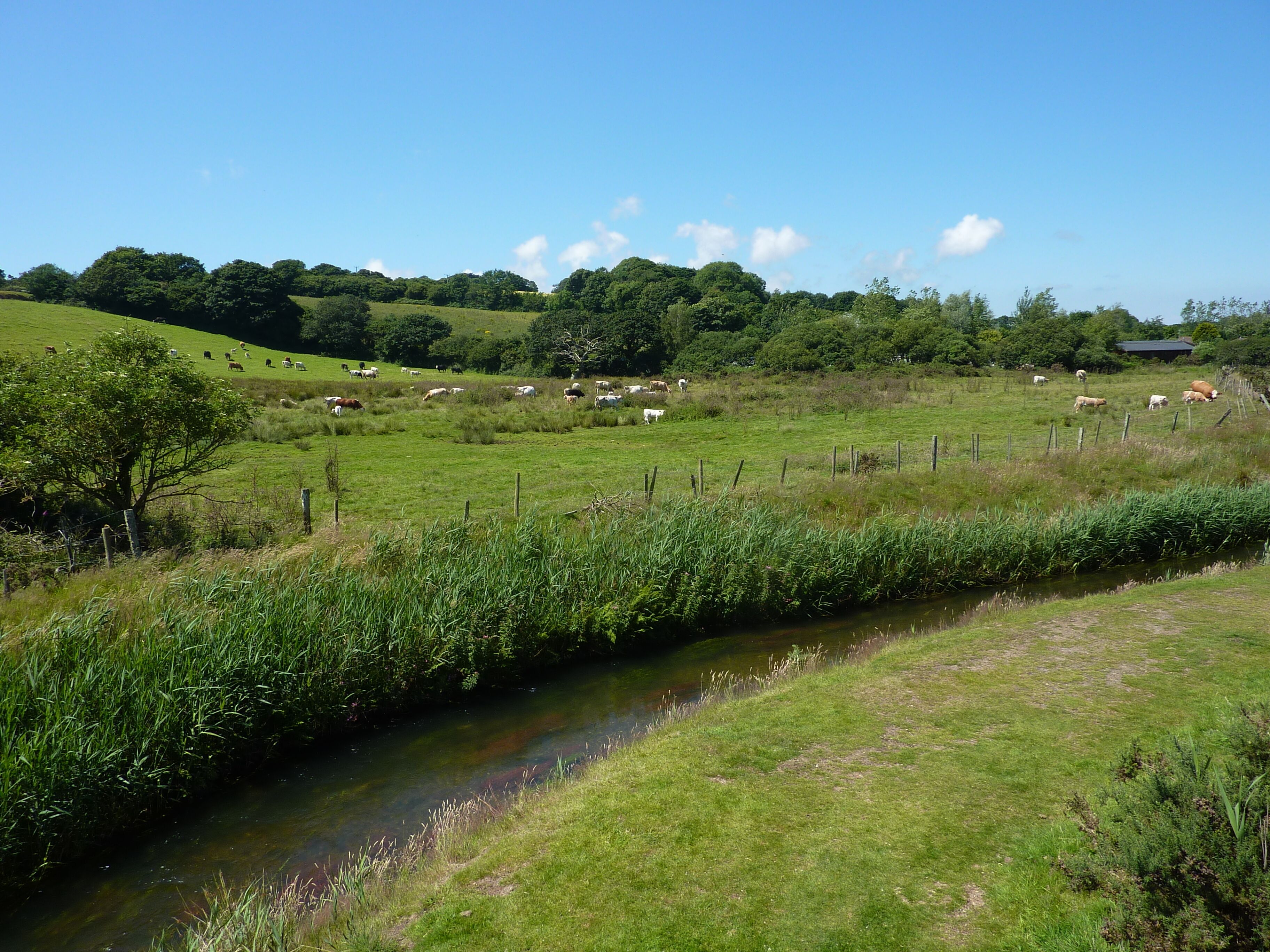 R.Hayle near Relubbus.