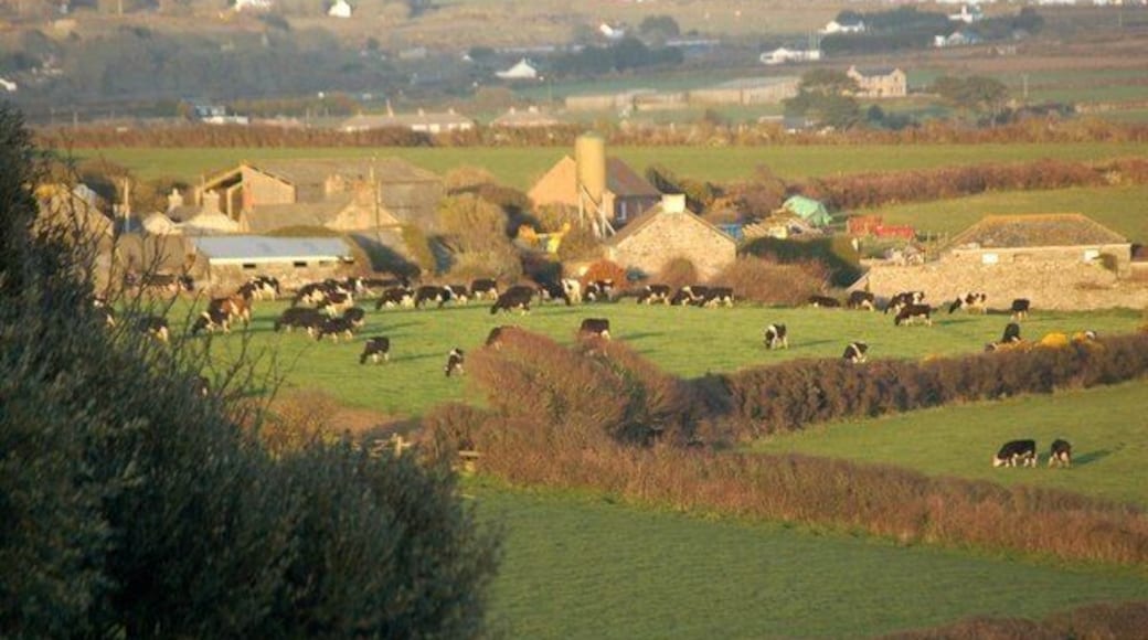 Cow Farm in the evening sun I always call this farm just off the A394 at Lower Kenneggy "Cow Farm" because it is always surrounded by cows !! This is the view across from Higher Kenneggy on an April evening in 2006.