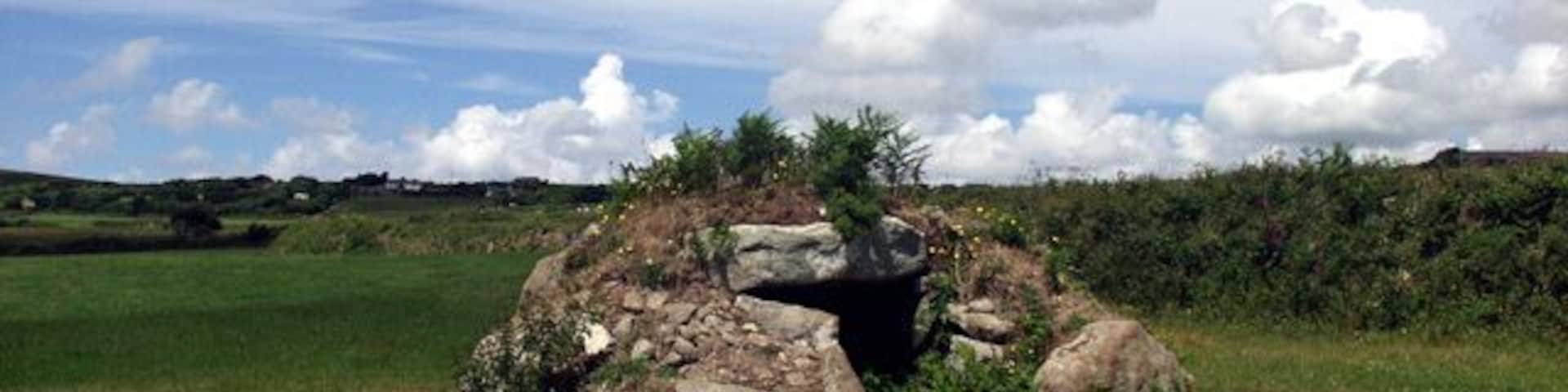 Brane burial chamber. Situated on open farmland, and used as a sheep shelter. From memory, taken looking west.