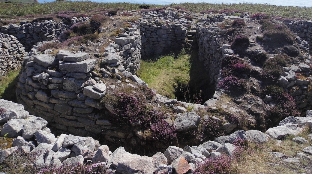 The Ballowall Barrow incorporating entrance grave, cairn, ritual pits and cists 420m WSW of Bollowal Farm Wikidata has entry Q17678450 with data related to this item.