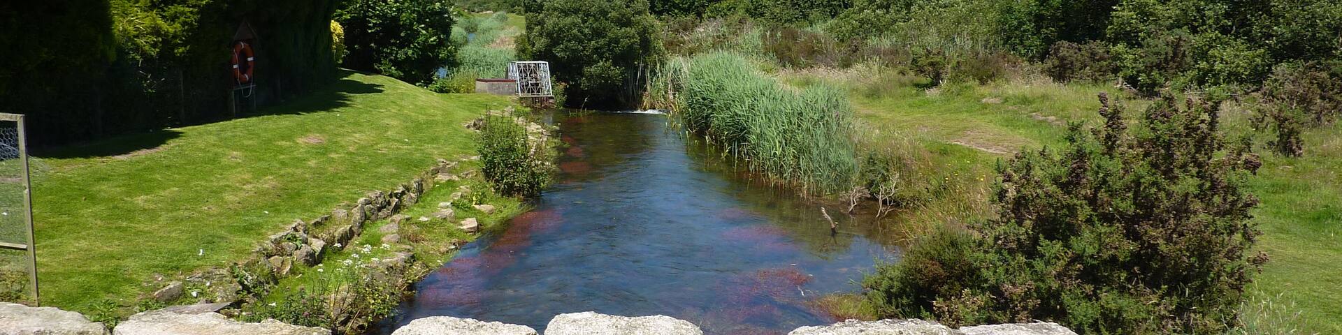 R. Hayle at Relubbus country park.