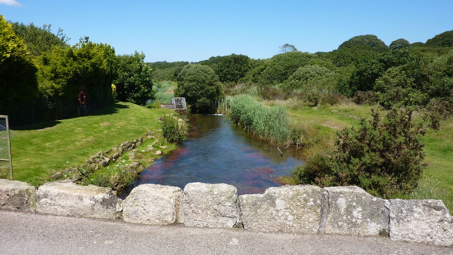 R. Hayle at Relubbus country park.