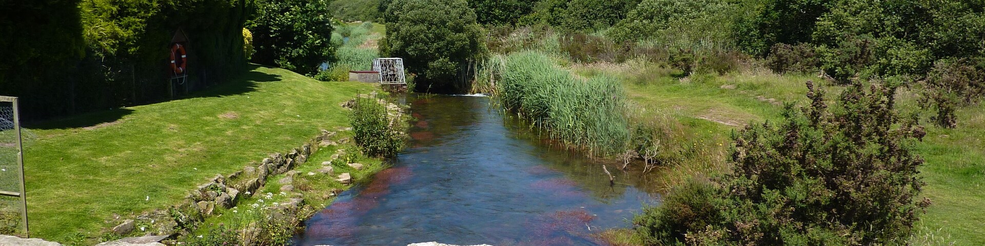 R. Hayle at Relubbus country park.