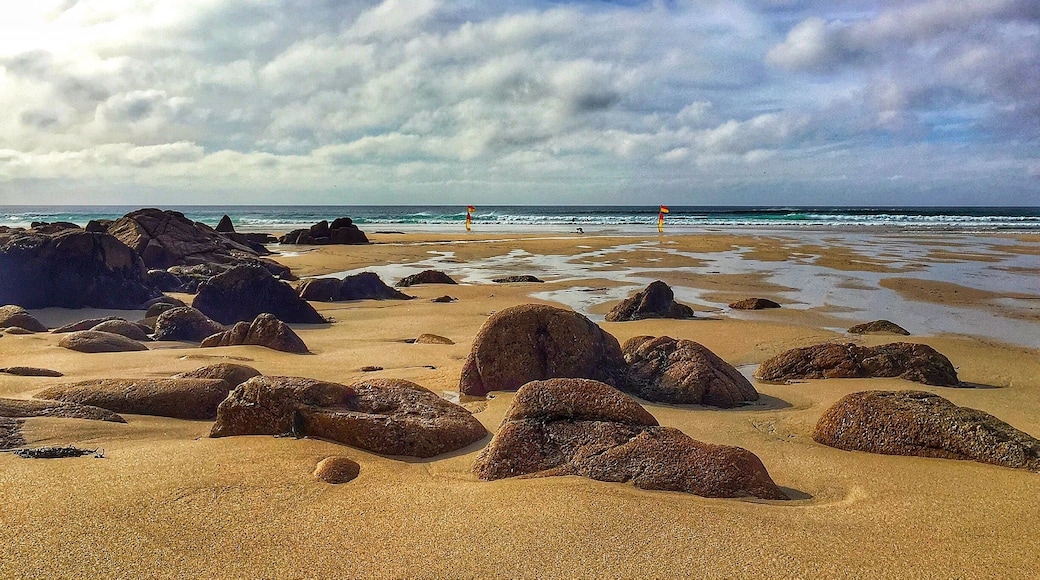 There are some great beaches to walk in Cornwall. Many are dog friendly for us dog owners to walk their dogs. Always clear up behind them 😀
