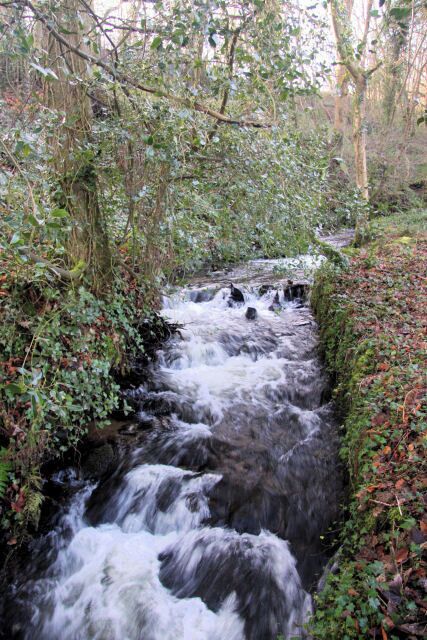 River Lariggan above Castle Horneck Viewed from a bridge that crosses the river, upstream of Castle Horneck. The river rushes through a densely wooded area.
