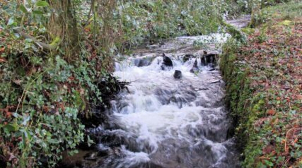 River Lariggan above Castle Horneck Viewed from a bridge that crosses the river, upstream of Castle Horneck. The river rushes through a densely wooded area.