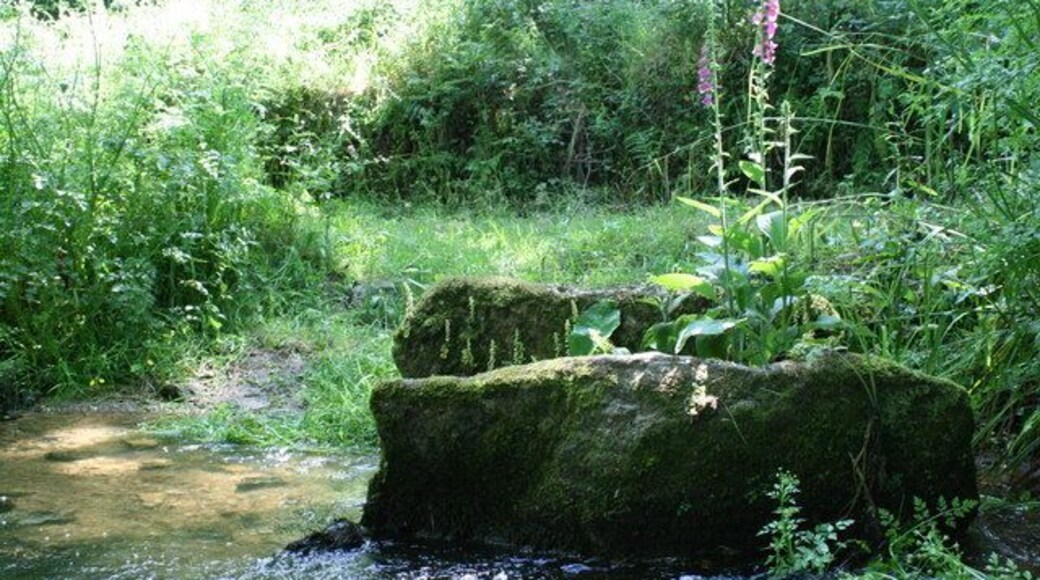 Stream south of Sellan This stream flows into the Drift Reservoir.