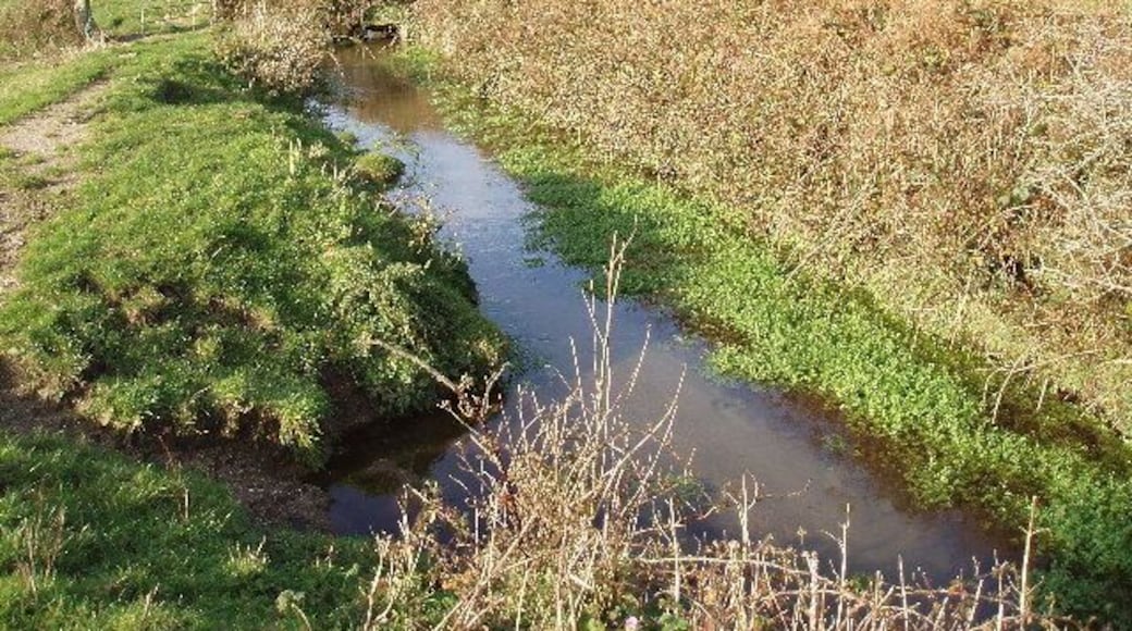 Stream in fields between Treave and Rissick. Looking north west. Still largely cattle farming in the small hamlets around St Buryan. Camp site and pottery at Treave in the distance.