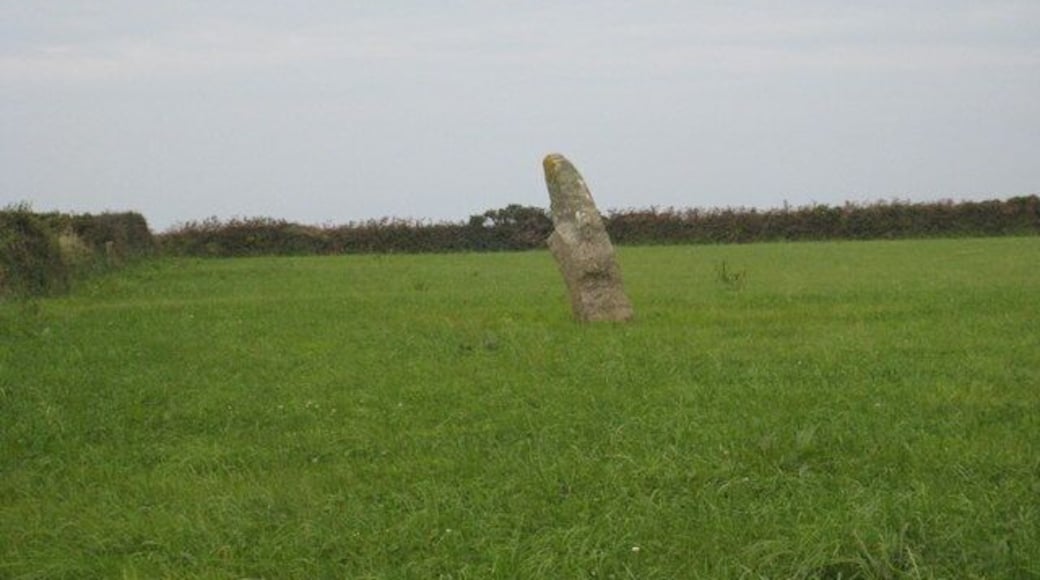 Trevorgans menhir A 2.45m high neolithic period standing stone in a field just NW of St Buryan village.