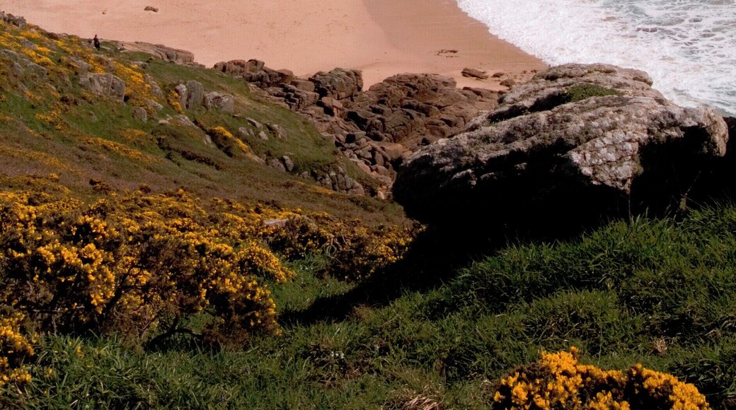 The beautiful but difficult to climb down to beach at Porthchapel has now (May 2018) been sadly been swept clean of all the sand in this image by the winter storms, leaving only rocks. From this photo I estimate that a depth of 3 metres of sand has been washed away.