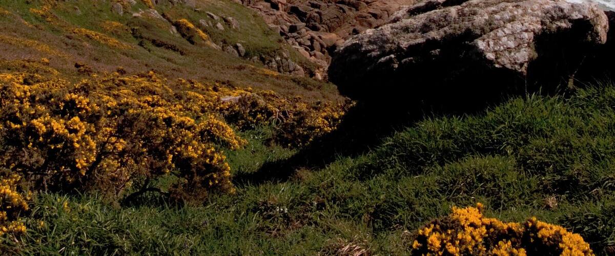 The beautiful but difficult to climb down to beach at Porthchapel has now (May 2018) been sadly been swept clean of all the sand in this image by the winter storms, leaving only rocks. From this photo I estimate that a depth of 3 metres of sand has been washed away.