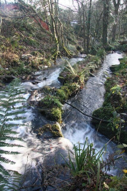 River Lariggan above Castle Horneck Looking downstream, the river divides either side of a moss and fern covered strip. This river, more of a stream, flows into Mounts Bay at Wherry Town, between Penzance and Newlyn.