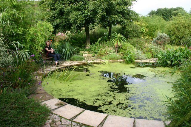 The pond. The excellent gardens at Pengersick Farm - open for tea in the conservatory. Also offer B&B. A visit is very recommended.