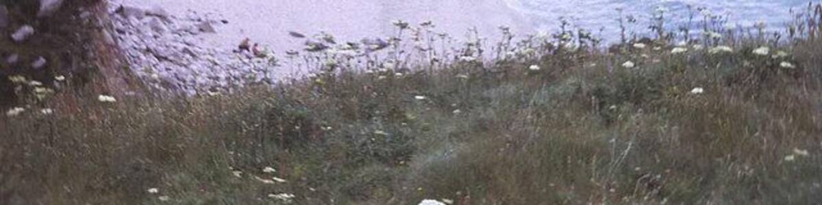 Portheras Cove Looking westwards across the beach towards Pendeen Watch. The only beach of note in the 15 miles of rugged north-facing coast between Whitesand Bay and St Ives. When the tide is in, access is via a footpath just below this end of the beach, which involves a fair walk to the nearest car park.