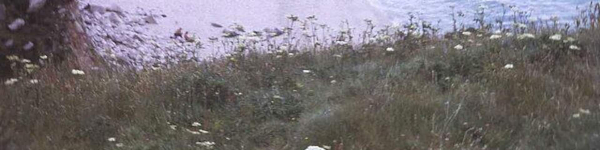 Portheras Cove Looking westwards across the beach towards Pendeen Watch. The only beach of note in the 15 miles of rugged north-facing coast between Whitesand Bay and St Ives. When the tide is in, access is via a footpath just below this end of the beach, which involves a fair walk to the nearest car park.