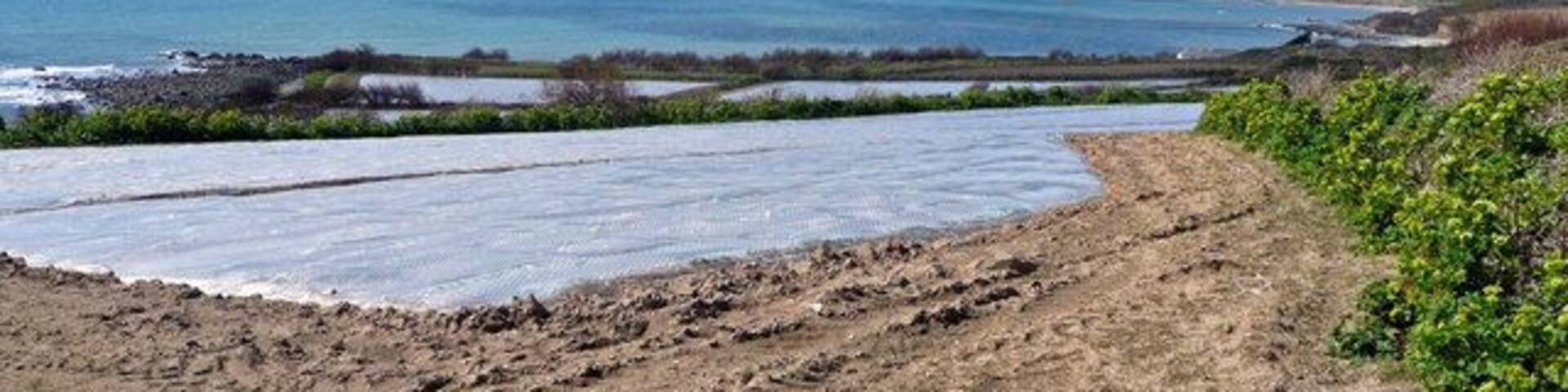 Vegetable production land by Mounts Bay, near to Perranuthnoe, Cornwall, Great Britain. View west of Perranuthnoe towards St. Michael's Mount. Note the clouds associated with sea mist on the north coast hangs on the horizon.