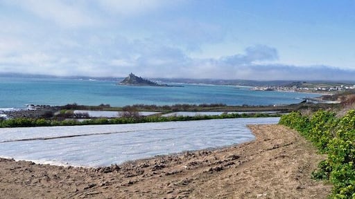 Vegetable production land by Mounts Bay, near to Perranuthnoe, Cornwall, Great Britain. View west of Perranuthnoe towards St. Michael's Mount. Note the clouds associated with sea mist on the north coast hangs on the horizon.