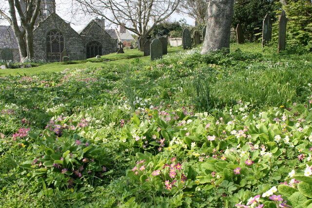 A cemetery with stone headstones and a lush green landscape.