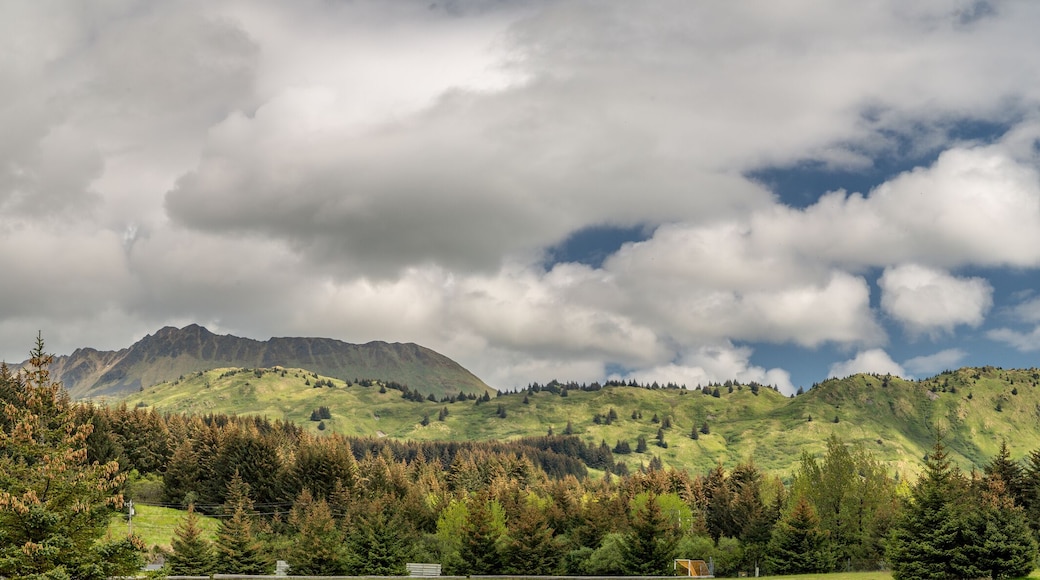 Pillar mountain range Kodiak, Alaska summertime on the emerald island