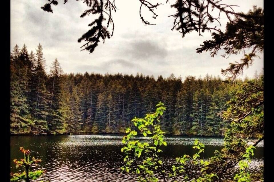 A lake surrounded by dense forest and a cloudy sky.
