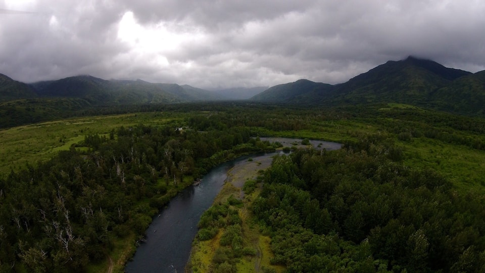 A river winding through a lush valley with dense forests and mountains in the background.