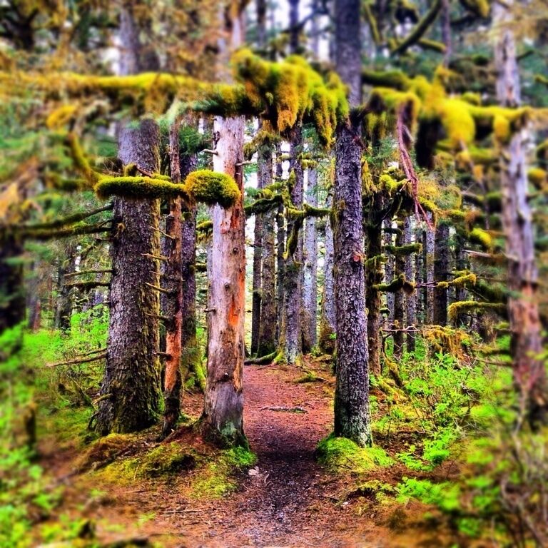 A less oft taken path