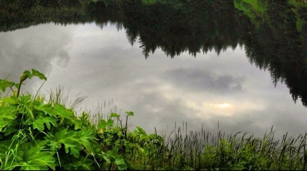 Commute back home from work