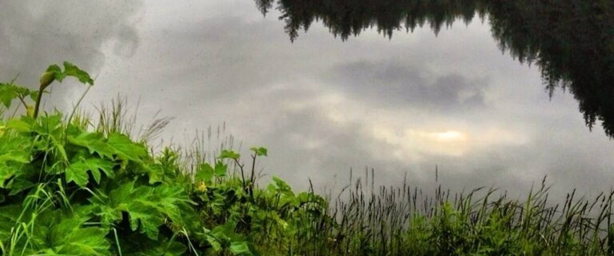 Commute back home from work