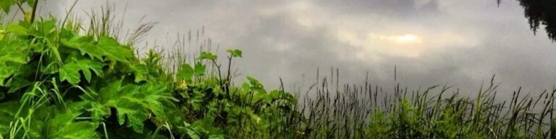 Commute back home from work